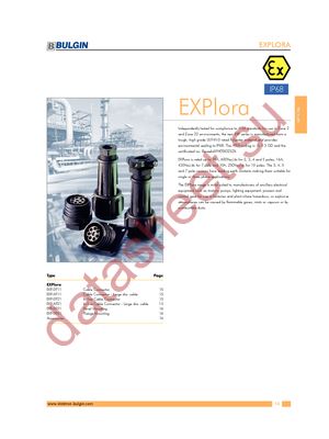 EXP-0911/02/P datasheet  
