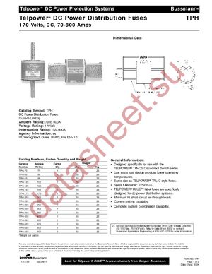 TPH-100 datasheet  