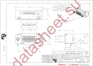 10009629-111110LF datasheet  