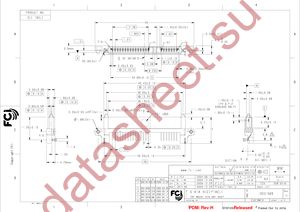 10031569-001LF datasheet  