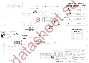 10080068-2GEL100LF datasheet  